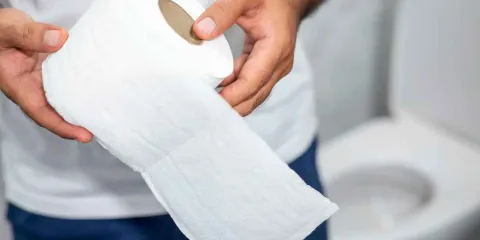 Los washlets que prometen cambiar el baño en 2026, adiós papel higiénico 