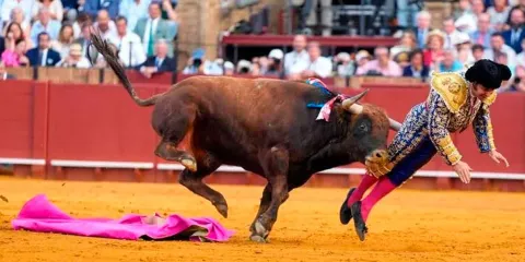 Morante de la Puebla sufre grave cornada en Sevilla durante la Feria de Abril