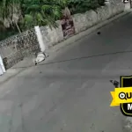 VIDEO. Buscan al responsable de atropellar y abandonar a un motociclista grave en Tizimín, Yucatán