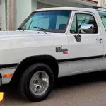 Autos con más de 30 años podrán solicitar placas de auto antiguo en 2026. Checa si tu auto es candidato