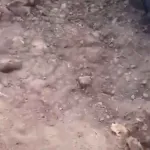 IMÁGENES SENSIBLES. Así quedo 'El Mencho' y sus sicarios tras refriega militar 