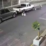 IMÁGENES SENSIBLES. Ataque de pitbulls en el centro de Puebla deja a un hombre con graves heridas