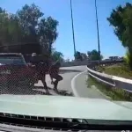 Video capta intento de encerrona en Quilicura; conductor atropella a asaltante y logra huir