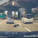 VIDEO.  Peatona distraída con el celular es arrollada por motociclista a alta velocidad