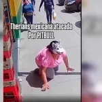 VIDEO. Tremenda pelea de perros. Joven therian contra un pitbull ¿Quién gano?