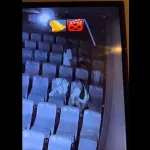 VIDEO ¡Ya nos exhibiste! Parejas hacen el “delicioso” durante proyección de película. Cámaras captaron todo