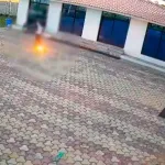 IMÁGENES SENSIBLES. Trabajador muere electrocutado en India al intentar ahuyentar a un mono