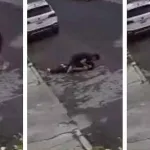 Cámaras de seguridad captan a sujeto golpeando brutalmente a su novia en la calle. Increíble reacción vecinal 