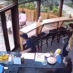 Automóvil se estrella contra cafetería en Uzbekistán y deja dos heridos graves; el local quedó destruido