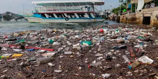 Seis playas de México que no debes visitar estas vacaciones por su alta contaminación