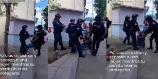 Polémica en Oaxaca. Perro defiende a su dueña de abuso policial