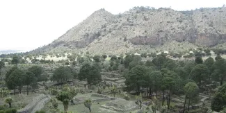 Zona Arqueológica de Cantona, joya histórica escondida en Tepeyahualco