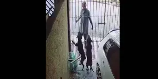 VIDEO. El perro es el mejor amigo del hombre y lo demuestra defendido su casa de un ladrón