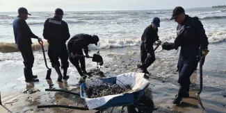 Ambientalistas alertan: autoridades conocían derrame en el Golfo y no actuaron