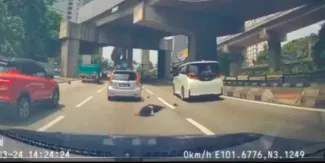 VIDEO.  Peatona distraída con el celular es arrollada por motociclista a alta velocidad