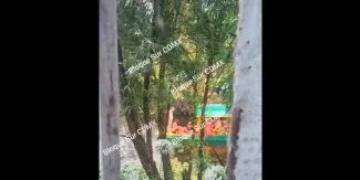 Colectivo defiende a integrantes que iban desnudos en trajinera de Xochimilco 