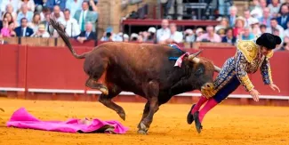 Morante de la Puebla sufre grave cornada en Sevilla durante la Feria de Abril