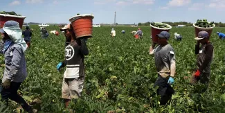 Remesas en México hilan 11 meses a la baja: menos envíos, pero con mayor monto promedio