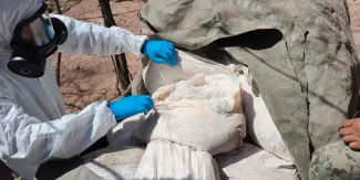 Operativo federal destruye narcolaboratorios en Sinaloa. Decomisan más de 4 toneladas de metanfetamina