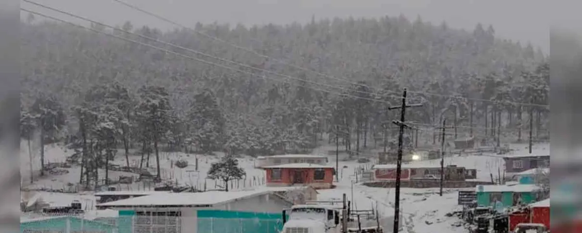 VIDEO. Tormenta invernal cubre de nieve a comunidades de Durango