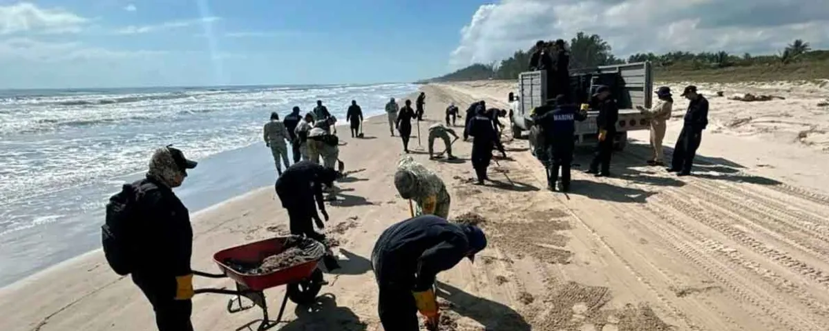 Detectan hidrocarburo en zonas protegidas del Golfo de México