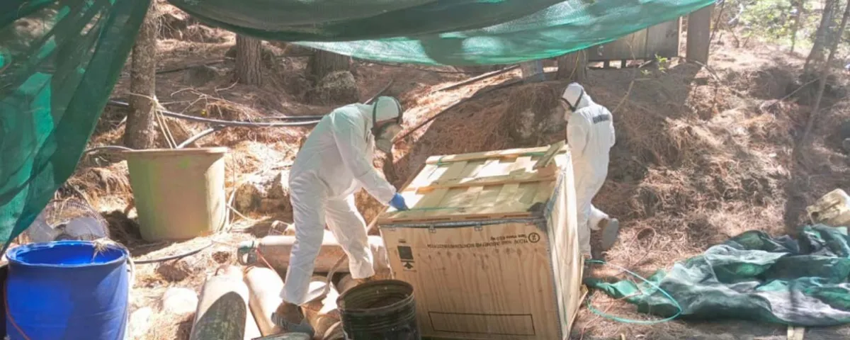 Marina desmantela laboratorios de cristal en Durango por 21 millones