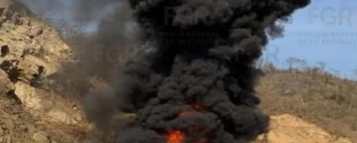 Golpe al narcotráfico: incineran más de 4 toneladas de cocaína en Guerrero