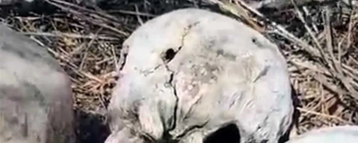 Hallan restos calcinados de 14 personas en Reynosa y advierten posible “zona de exterminio”