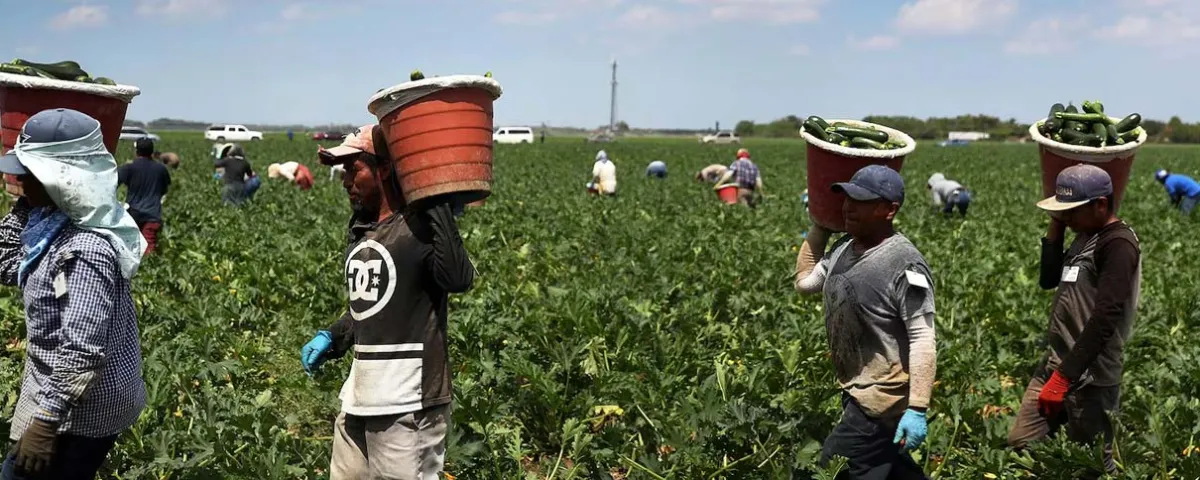 Remesas en México hilan 11 meses a la baja: menos envíos, pero con mayor monto promedio