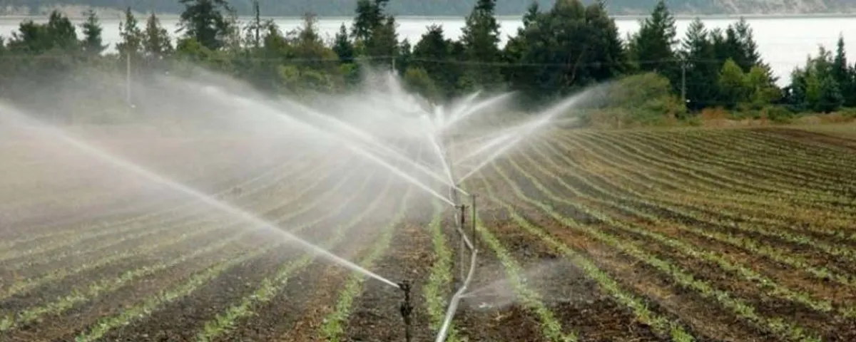 Alertan que castigarían el ahorro de agua en el agro mexicano