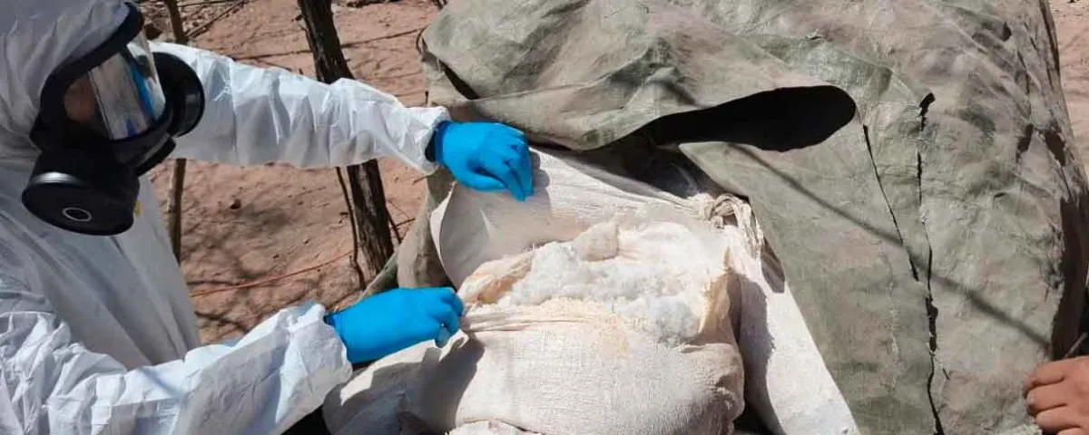 Operativo federal destruye narcolaboratorios en Sinaloa. Decomisan más de 4 toneladas de metanfetamina