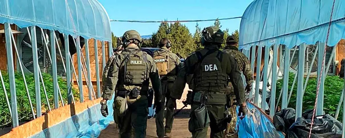 DEA permitió el paso de millones de pastillas de fentanilo: denuncian agentes