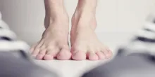 pies